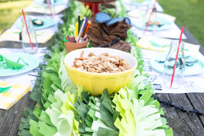 Bug Birthday Party, Creepy Crawly Insect Party