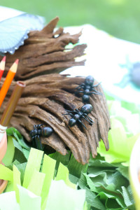 Bug Birthday Party, Creepy Crawly Insect Party