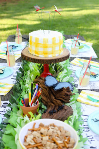 Bug Birthday Party, Creepy Crawly Insect Party