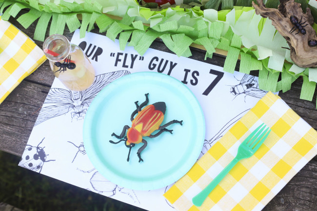 Bug Birthday Party, Creepy Crawly Insect Party