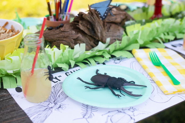 Bug Birthday Party, Creepy Crawly Insect Party