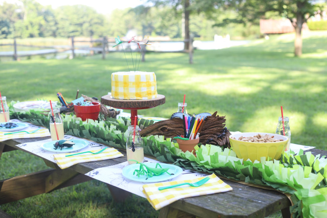 Bug Birthday Party, Creepy Crawly Insect Party