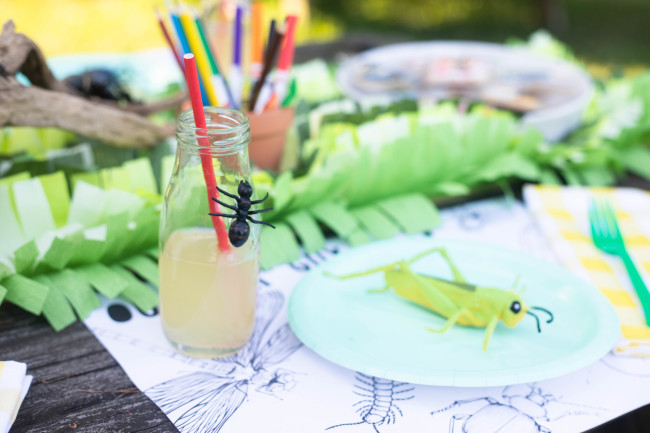 Bug Birthday Party, Creepy Crawly Insect Party