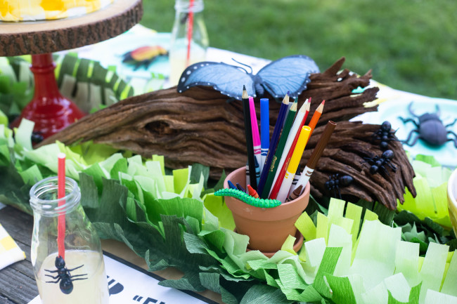 Bug Birthday Party, Creepy Crawly Insect Party