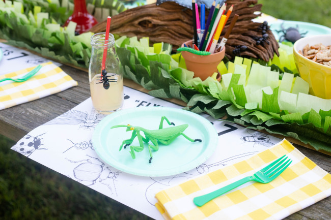 Bug Birthday Party, Creepy Crawly Insect Party