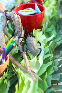 Bug Birthday Party, Creepy Crawly Insect Party