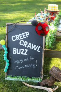 Bug Birthday Party, Creepy Crawly Insect Party