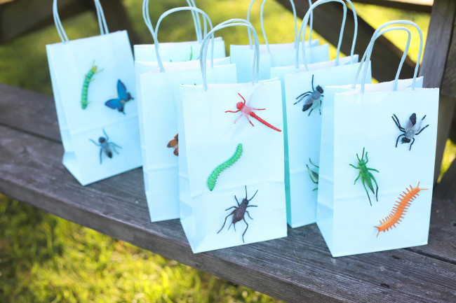 Bug Birthday Party, Creepy Crawly Insect Party