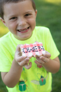 Bug Birthday Party, Creepy Crawly Insect Party