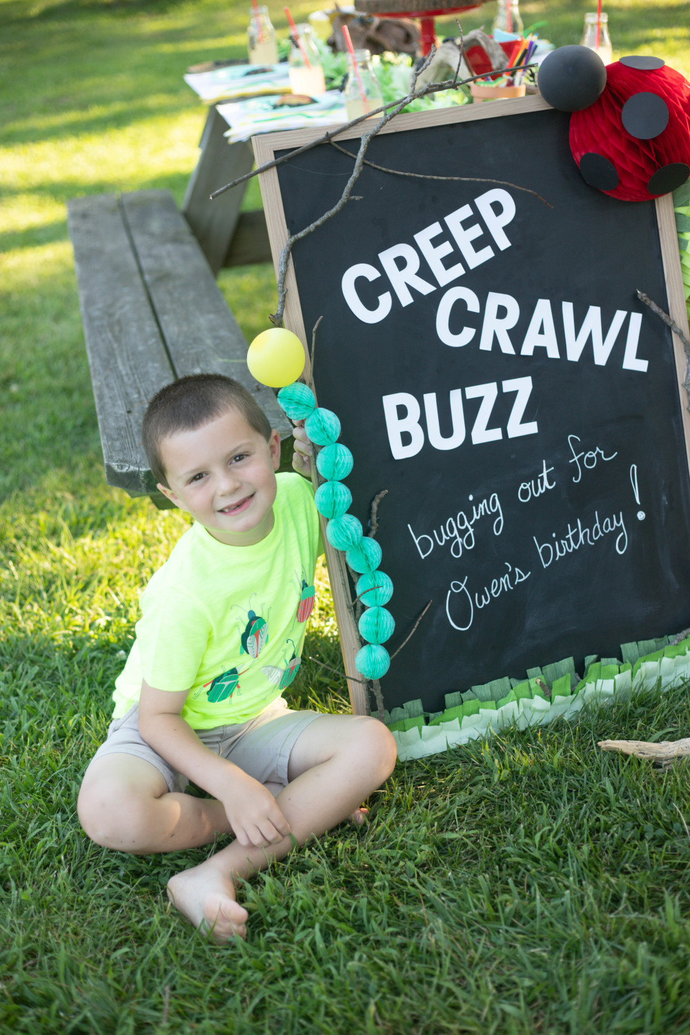 Bug Birthday Party, Creepy Crawly Insect Party