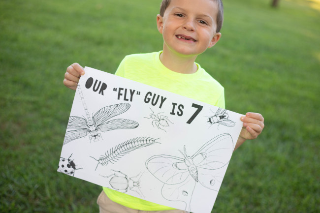 Bug Birthday Party, Creepy Crawly Insect Party