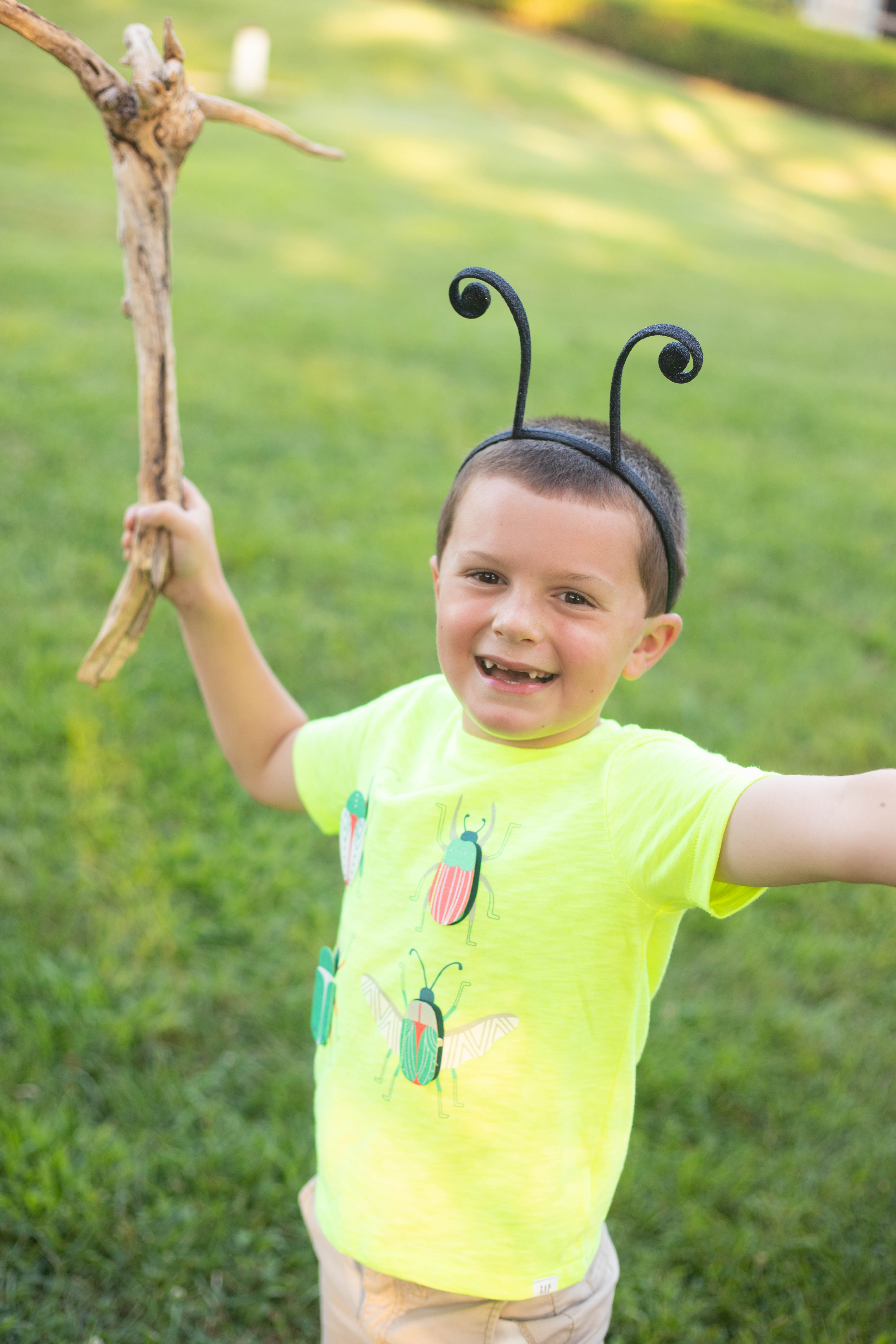 Bug Birthday Party, Creepy Crawly Insect Party