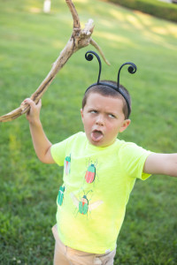 Bug Birthday Party, Creepy Crawly Insect Party