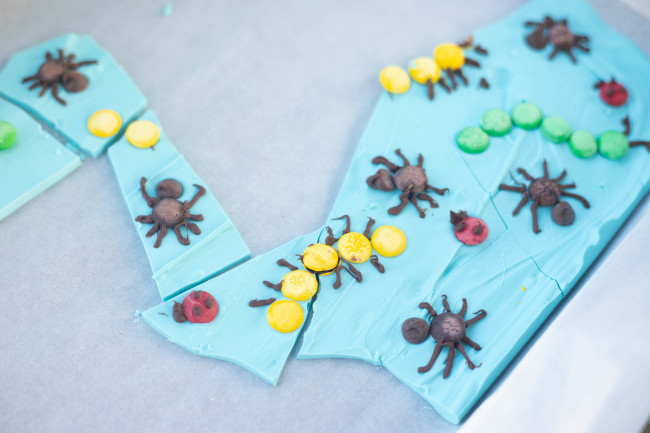 Bug Birthday Party, Creepy Crawly Insect Party