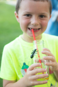 Bug Birthday Party, Creepy Crawly Insect Party