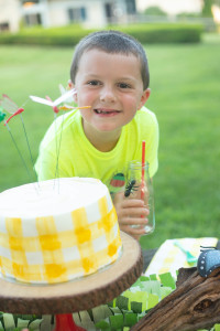 Bug Birthday Party, Creepy Crawly Insect Party