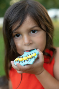 Bug Birthday Party, Creepy Crawly Insect Party