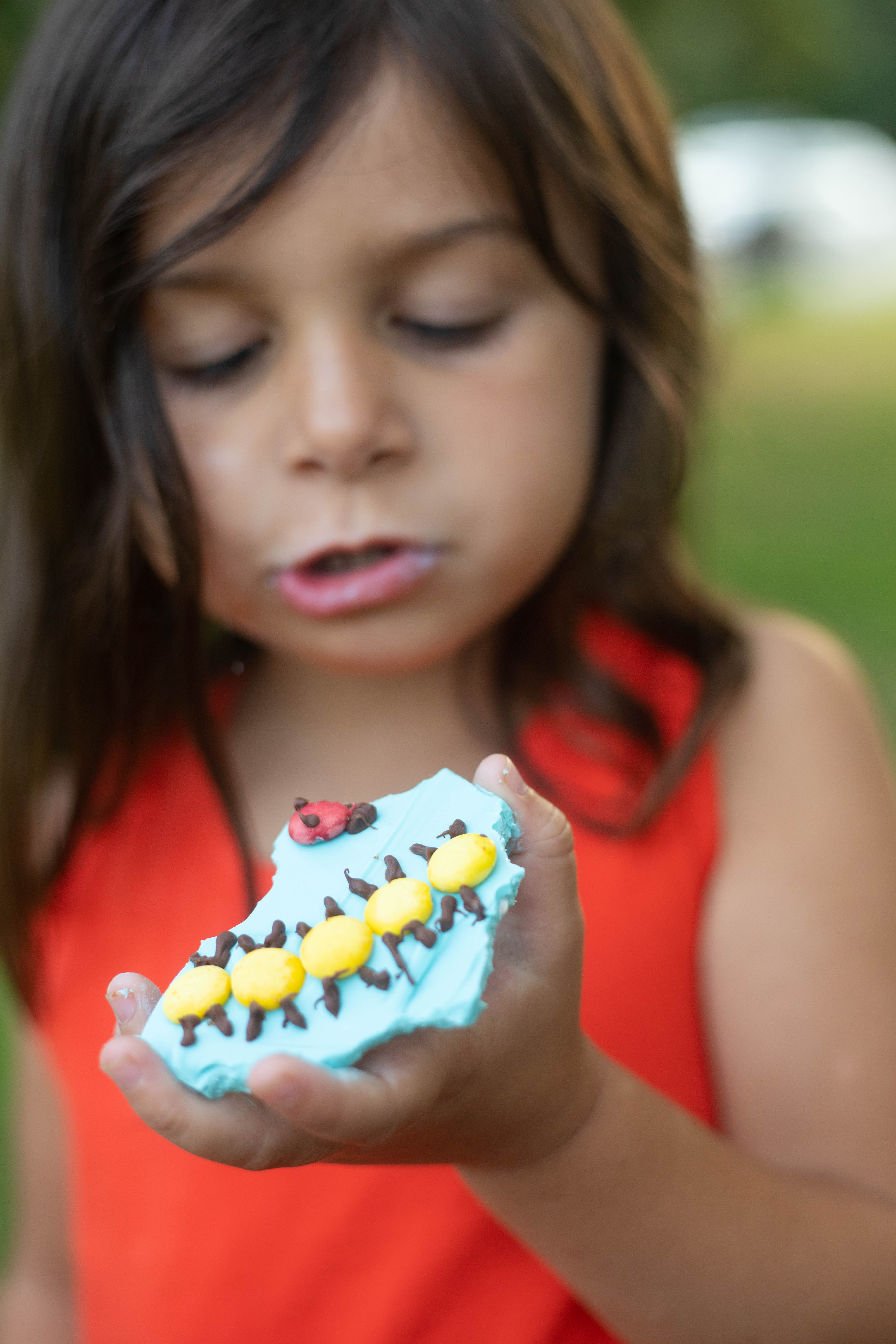 Bug Birthday Party, Creepy Crawly Insect Party