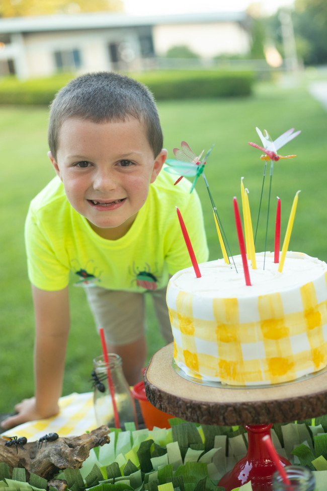 Bug Birthday Party, Creepy Crawly Insect Party