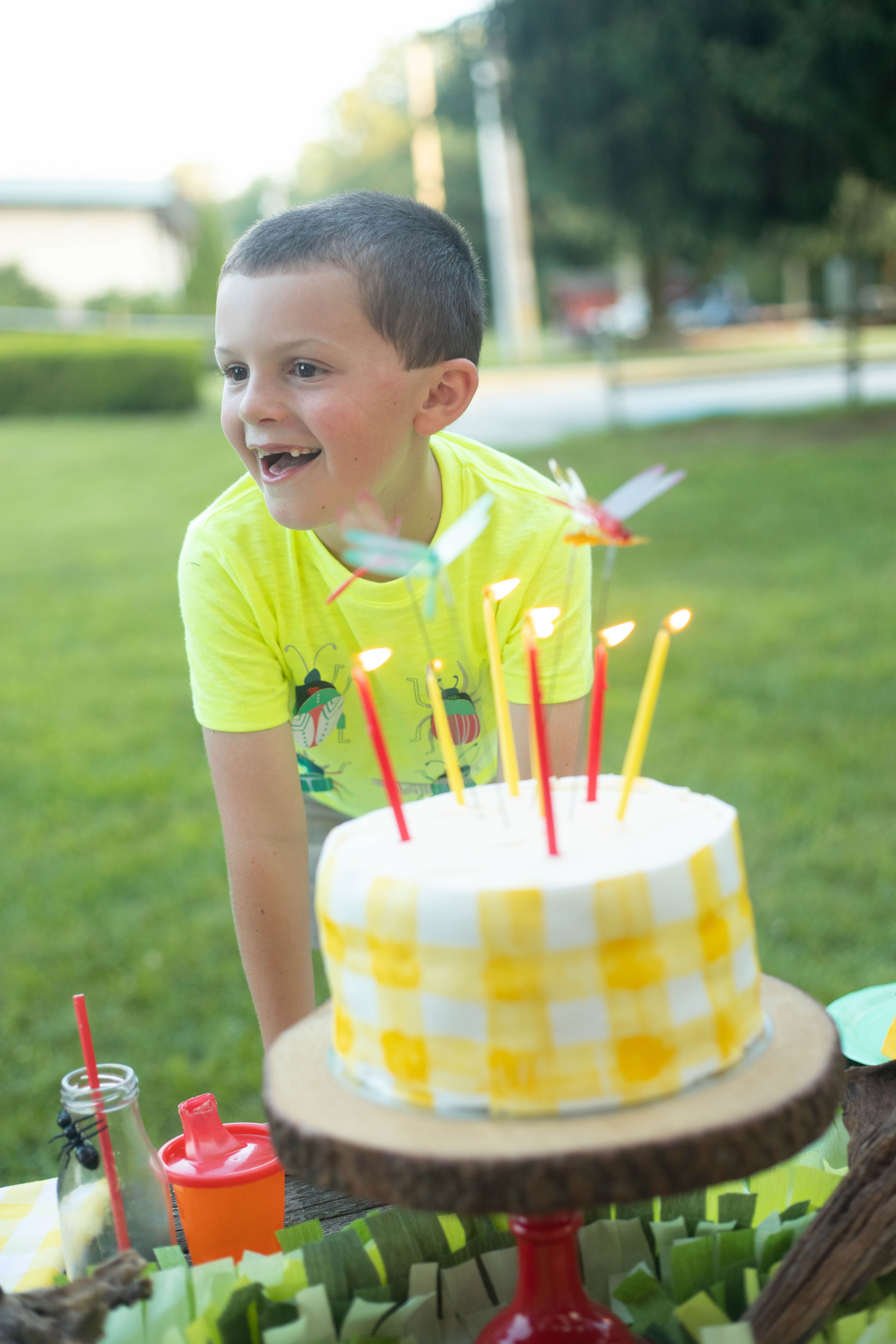 Bug Birthday Party, Creepy Crawly Insect Party