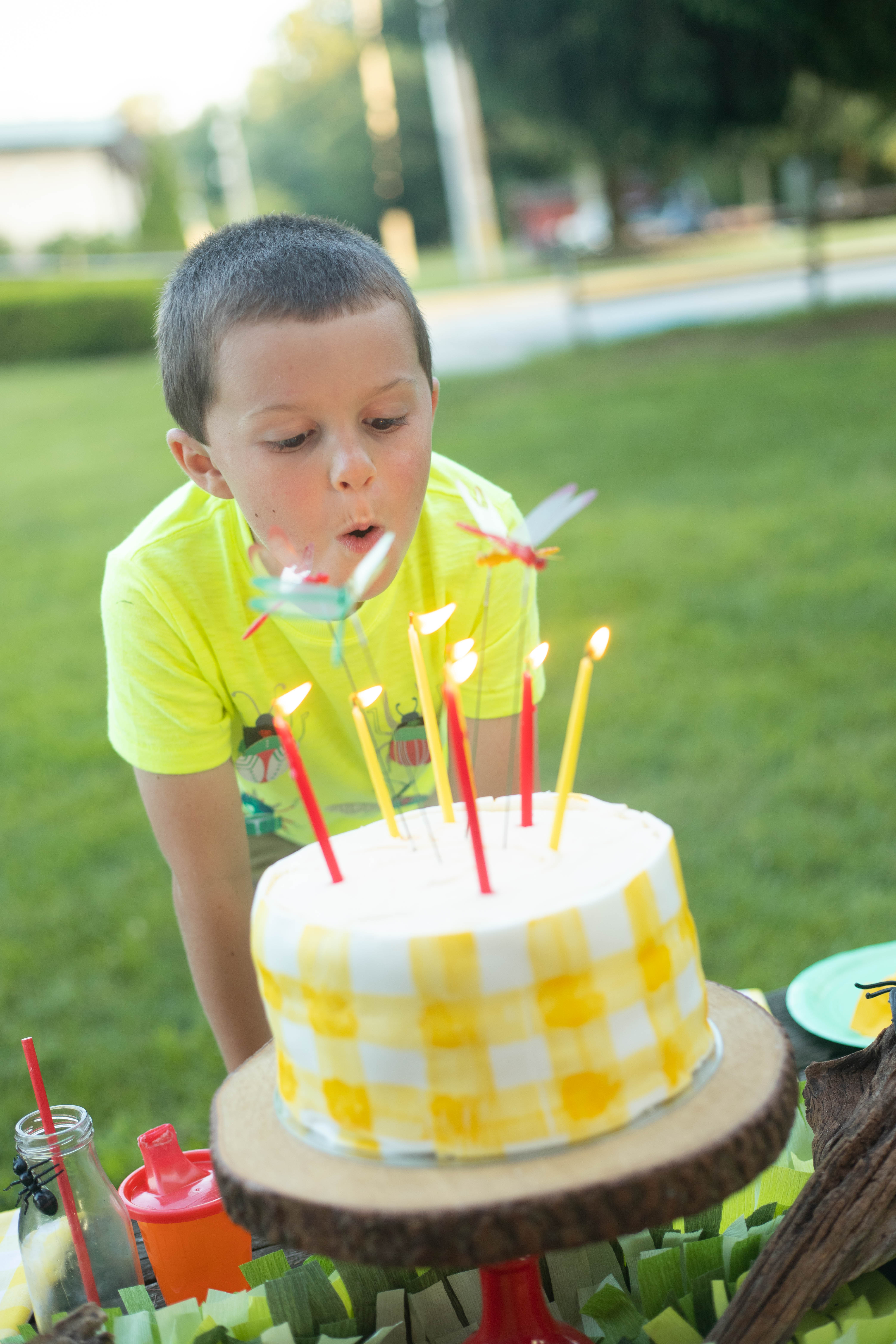 Bug Birthday Party, Creepy Crawly Insect Party