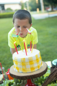 Bug Birthday Party, Creepy Crawly Insect Party