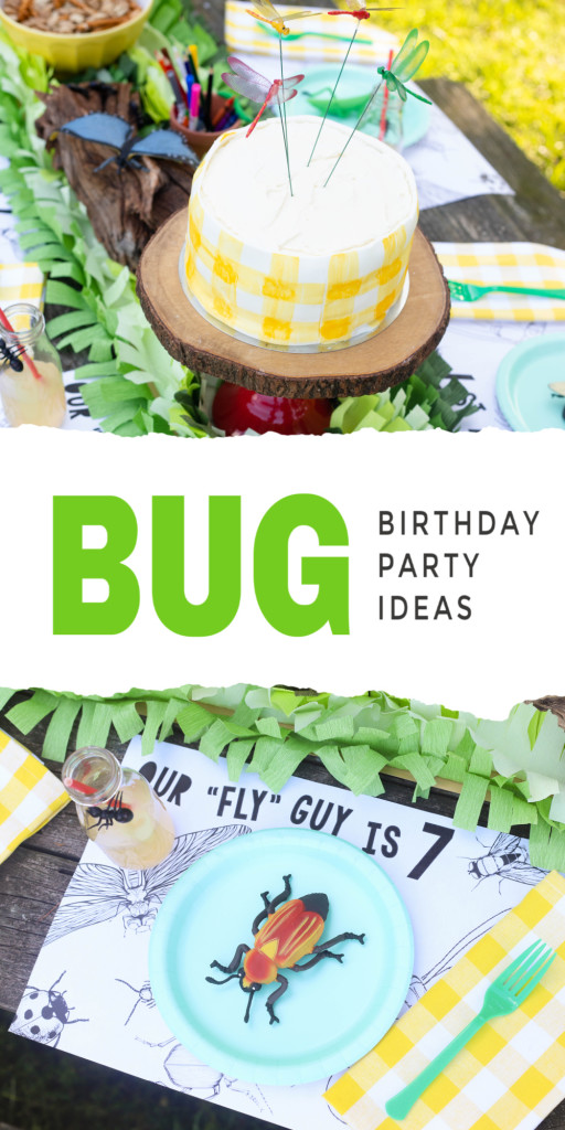 Bug Birthday Party, Creepy Crawly Insect Birthday Ideas