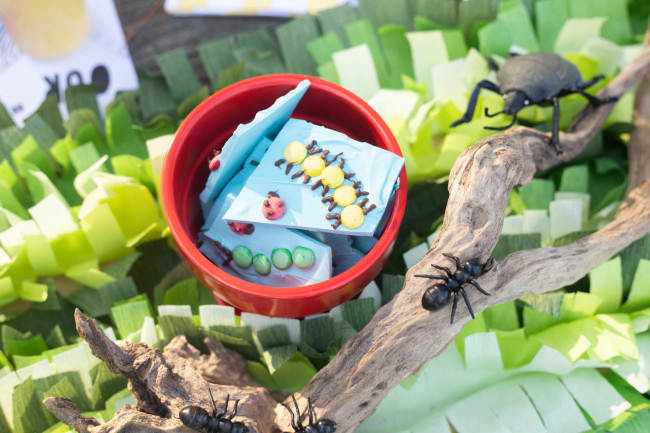 Bug Birthday Party, Creepy Crawly Insect Party