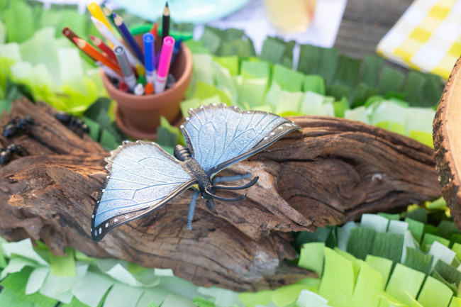 Bug Birthday Party, Creepy Crawly Insect Party