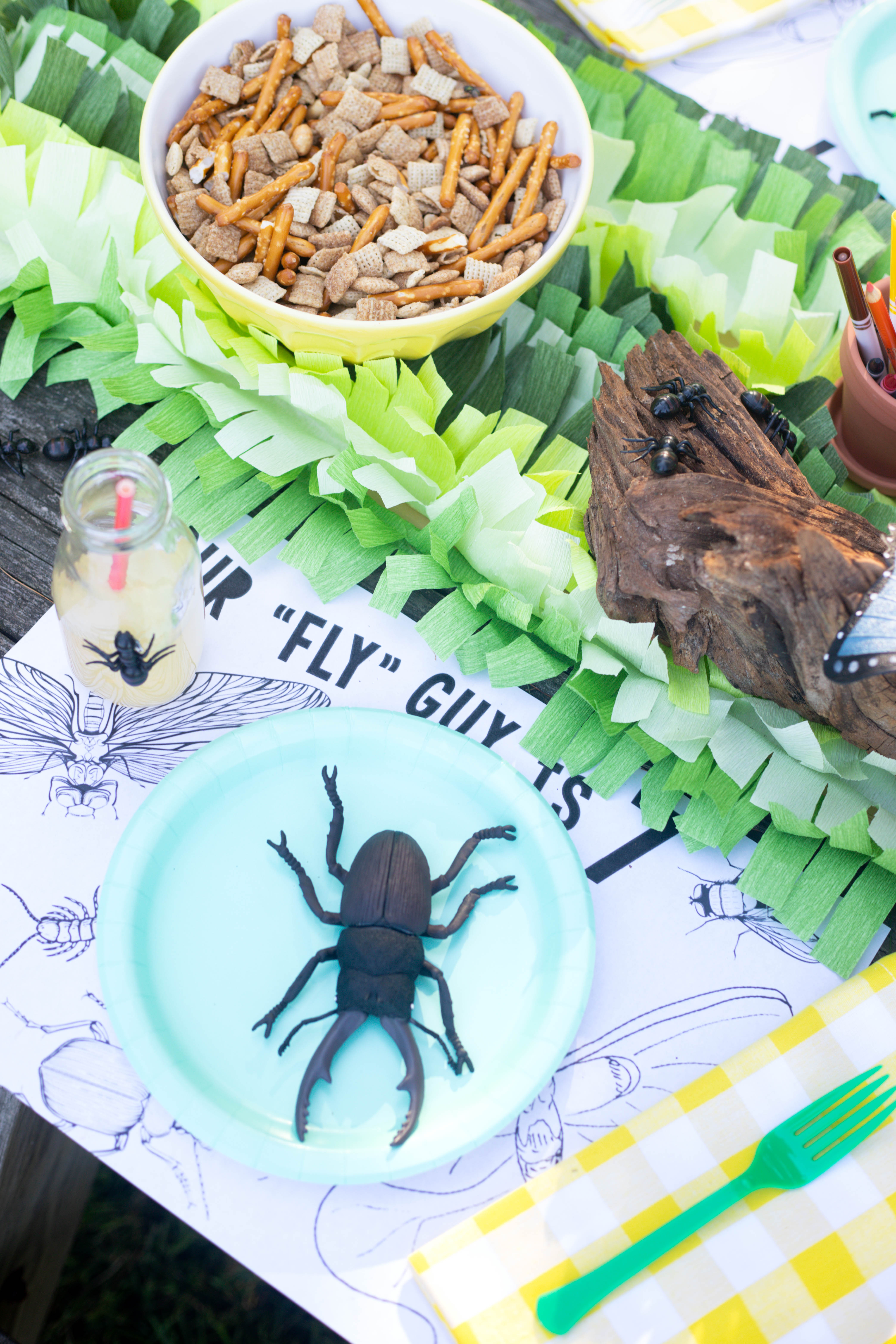 Bug Birthday Party, Creepy Crawly Insect Party