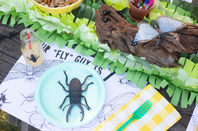 Bug Birthday Party, Creepy Crawly Insect Party