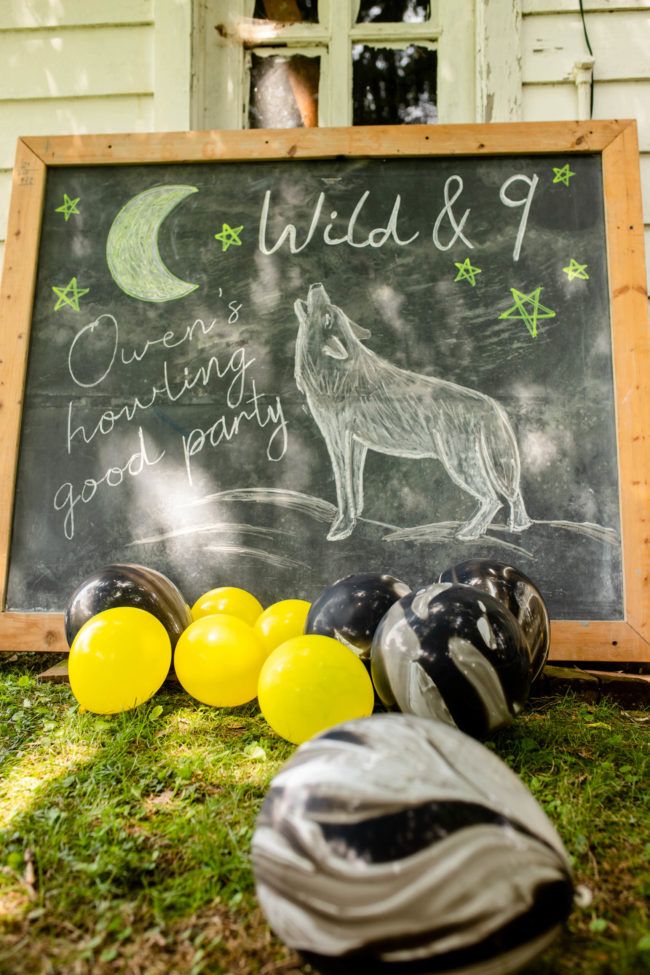 wolf theme birthday party