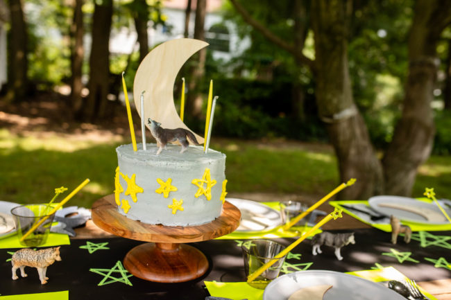 wolf theme birthday party