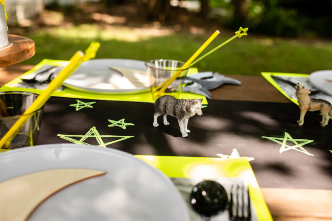 wolf theme birthday party